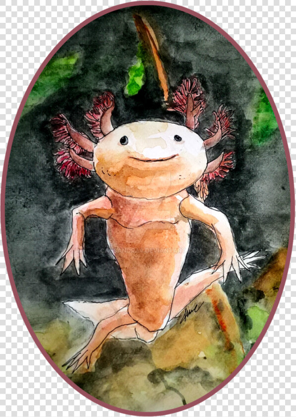 Axolotl  HD Png DownloadTransparent PNG