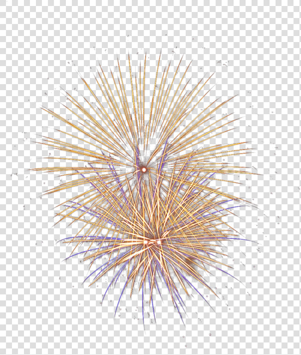 Transparent Firework Clipart Png   Fuochi D Artificio Png  Png DownloadTransparent PNG