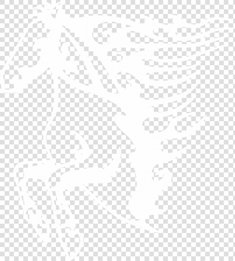 Wild Horse Stallion  HD Png DownloadTransparent PNG