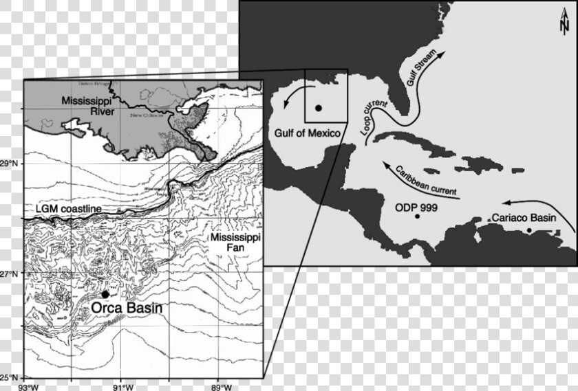 Map Of The Gulf Of Mexico Showing The Location Of Orca   Earth Americas  HD Png DownloadTransparent PNG