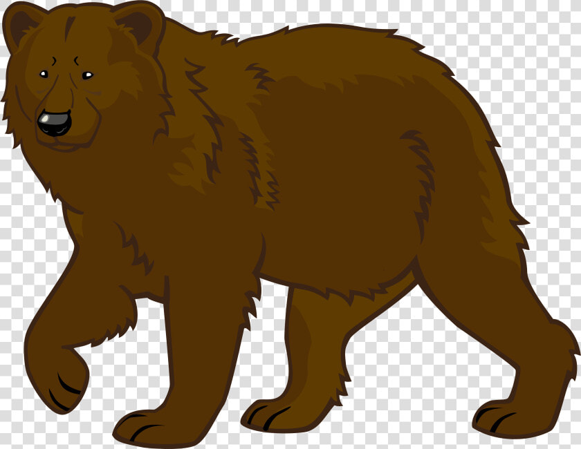 Brown Bear Polar Bear American Black Bear Giant Panda   Bear Clipart Transparent Background  HD Png DownloadTransparent PNG