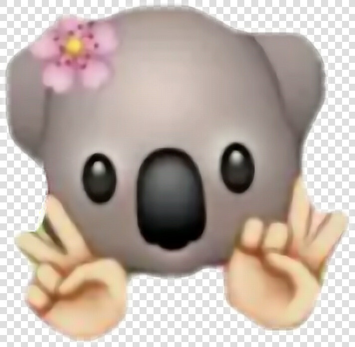  emoji  italy  mani  fiore  koala ✌🏻️🐨🌸 freetoedit   Teddy Bear  HD Png DownloadTransparent PNG