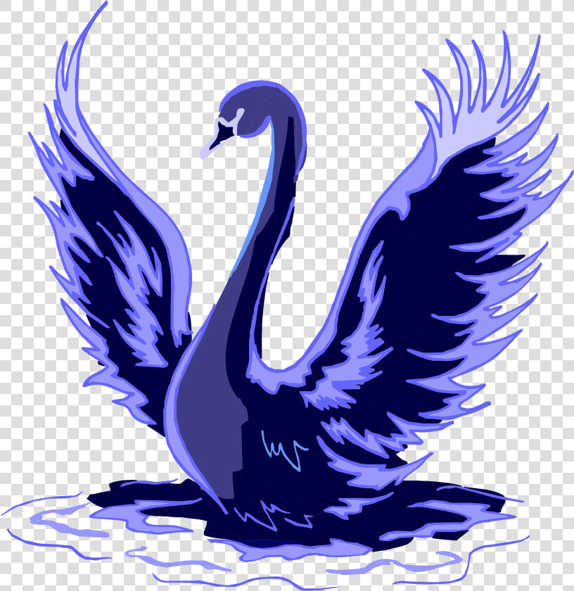 Black Swan Trumpeter Swan Bird Clip Art   Swan Art Png  Transparent PngTransparent PNG