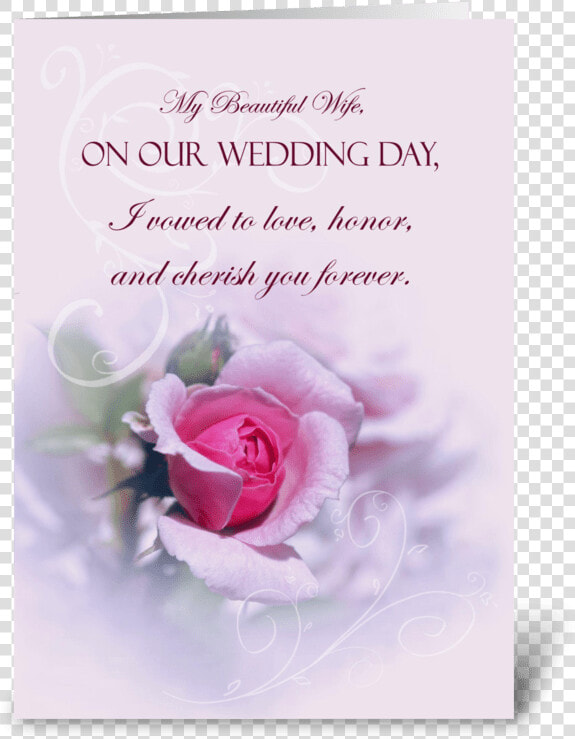 Pink Rose Wedding Anniversary For Wife Greeting Card   Our Marriage Anniversary  HD Png DownloadTransparent PNG