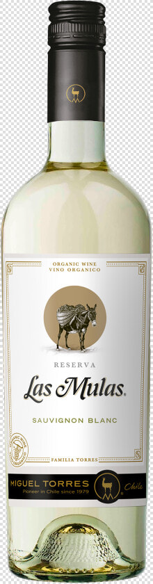 Viu Manent Reserva Sauvignon Blanc  HD Png DownloadTransparent PNG