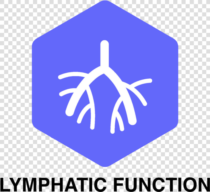 Reboot Pod Lymphatic Symbol   Baby Changing Station Sign  HD Png DownloadTransparent PNG