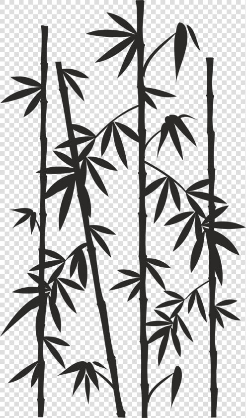 Bamboo Image Drawing Reed Silhouette   Bamboo Svg Free  HD Png DownloadTransparent PNG