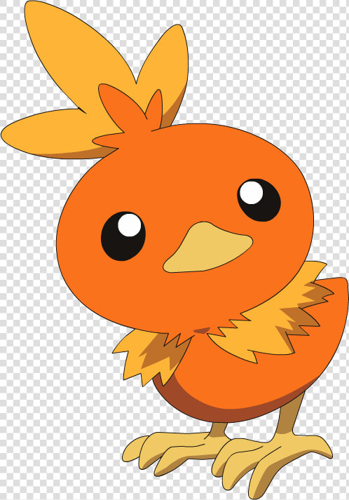 Torchic Png  Transparent PngTransparent PNG