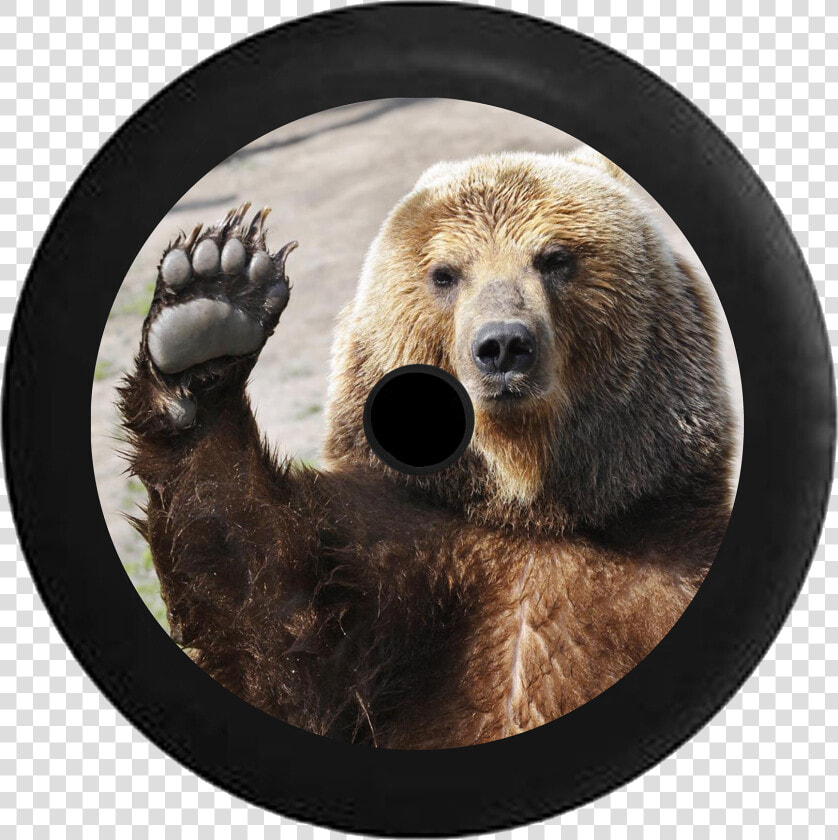 Jeep Wrangler Jl Backup Camera Waving Brown Grizzly   Waving Bear  HD Png DownloadTransparent PNG