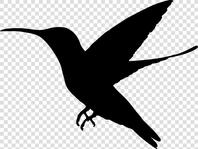 Hummingbird Silhouette Clip Art Www Pixshark Com Pigeon   Hummingbird Clipart Bird Silhouette  HD Png DownloadTransparent PNG