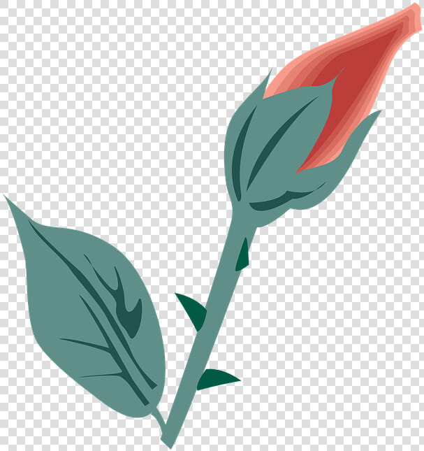 Flower  Symbol  Icon  Design  Flat  Decoration  Nature   Festa Della Mamma 2009  HD Png DownloadTransparent PNG