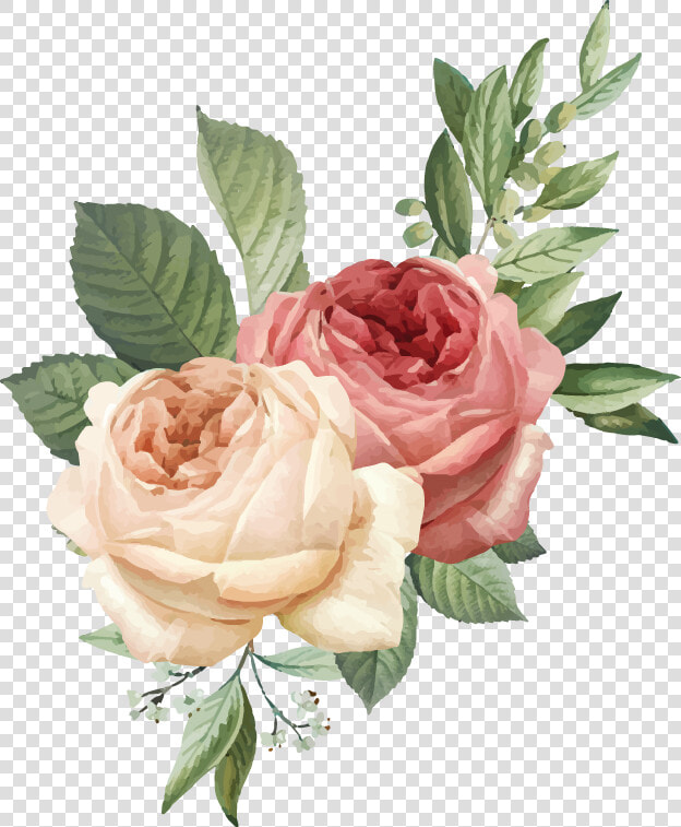 Floribunda  HD Png DownloadTransparent PNG