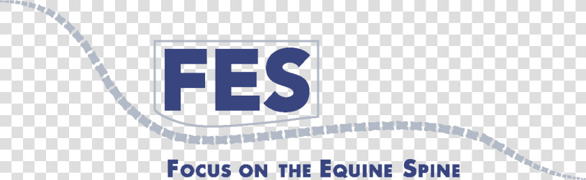 Focus On The Equine Spine   Parallel  HD Png DownloadTransparent PNG