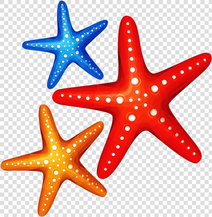 Starfish Ocean Safari Colorful Transparent Png   Under The Sea Starfish Cartoon  Png DownloadTransparent PNG