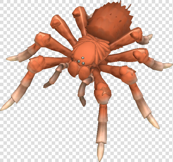 Wolf Spiders Are Ambush Hunters  And Do Not Build A   Spore Spiders  HD Png DownloadTransparent PNG