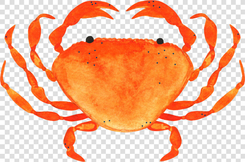 Freckled crab  HD Png DownloadTransparent PNG