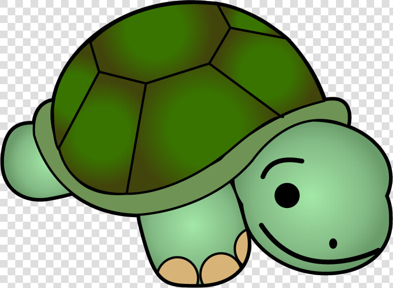 Cute Turtle Clip Art Free Clipart Images   Clipart Picture Of Turtle  HD Png DownloadTransparent PNG