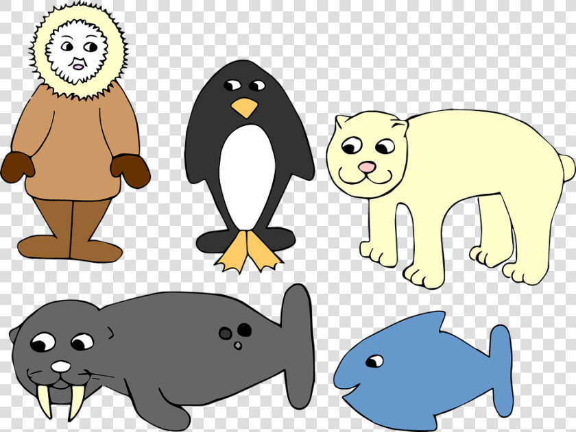 Antarctica  Winter  Eskimo  Penguin  Fish  Seal  Bear   Eskimo Penguin  HD Png DownloadTransparent PNG