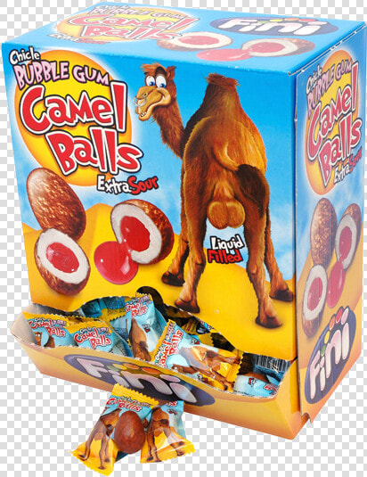 2kg Camel Balls Data Rimg Lazy Data Rimg Scale   Fini Camel Balls  HD Png DownloadTransparent PNG