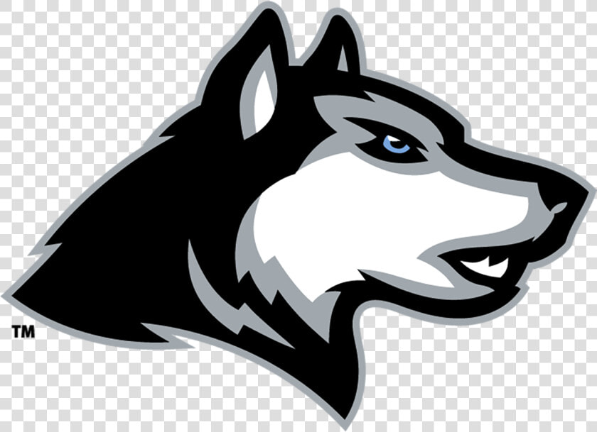 School Logo   Helena High School Alabama Logo  HD Png DownloadTransparent PNG