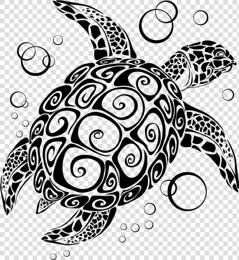 Transparent Hawaiian Sea Turtle Clipart   Sea Turtle Svg Free  HD Png DownloadTransparent PNG