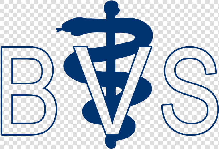 Brink Veterinary Service   Veterinary Symbol  HD Png DownloadTransparent PNG