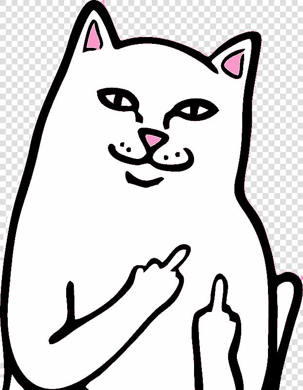 Rip N Dip Cat Png   Rip N Dip Logo  Transparent PngTransparent PNG