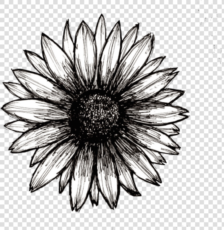 Sunflower Png Tumblr   Black And White Sunflower Png  Transparent PngTransparent PNG