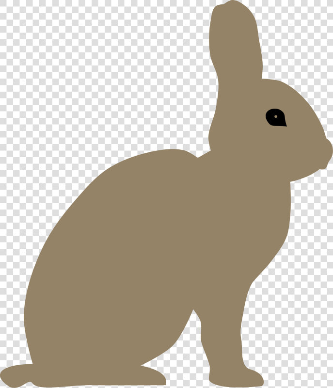 Rabbit By Rones   Snowshoe Hare Clipart  HD Png DownloadTransparent PNG