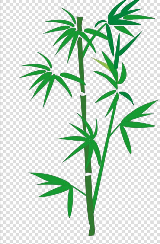 Bamboo Png Download   Transparent Bamboo Cartoon  Png DownloadTransparent PNG