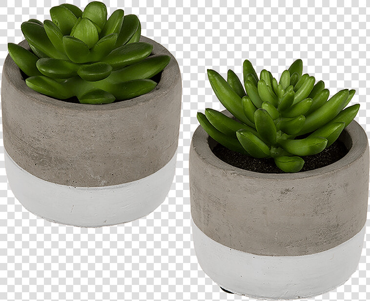 Stone Pots For Succulents  HD Png DownloadTransparent PNG