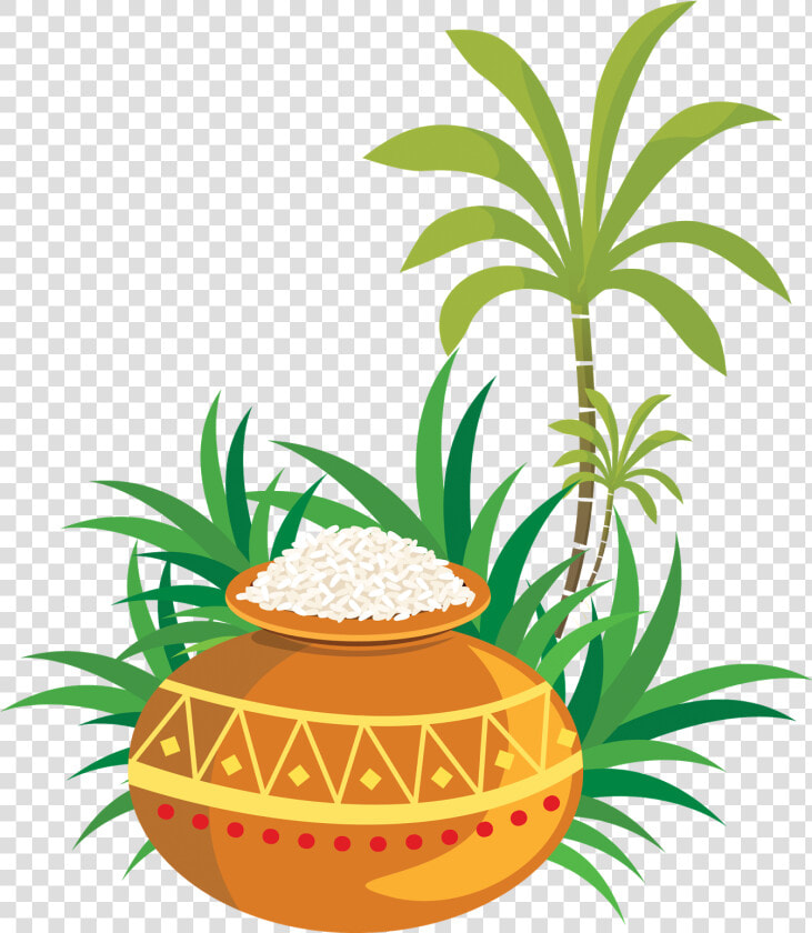 Transparent Sankranthi Images Png   Pongal Png  Png DownloadTransparent PNG