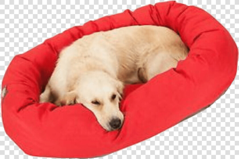 Transparent Dog Bed Clipart   Companion Dog  HD Png DownloadTransparent PNG