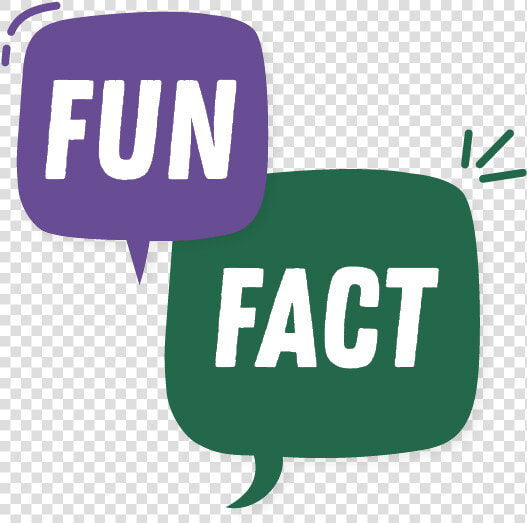 Fun Fact   Sign  HD Png DownloadTransparent PNG