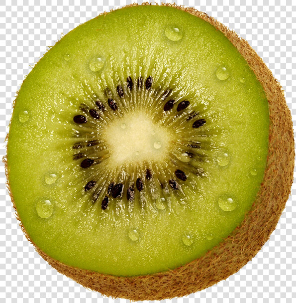 Kiwi Png Image  Free Fruit Kiwi Png Pictures Download   Png Kiwi  Transparent PngTransparent PNG