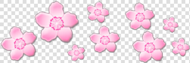  pink  pinkflowers  flowers  crown  png  cute  sticker   Transparent Blue Aesthetic Stickers  Png DownloadTransparent PNG