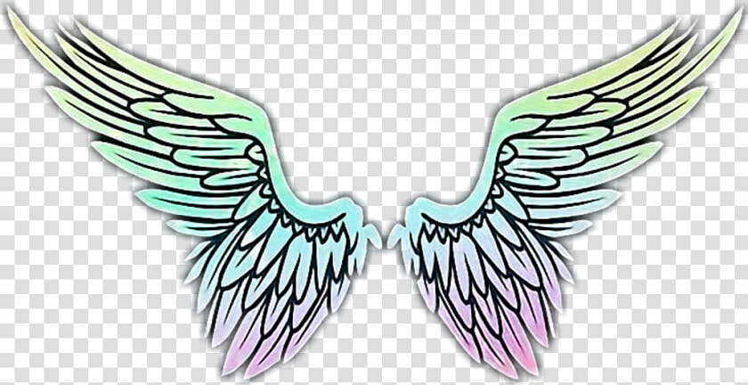  wings  angel  flügel  engel  engelflügel  schön  beautiful  HD Png DownloadTransparent PNG