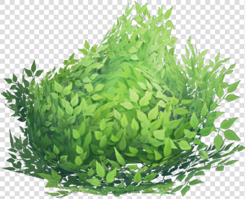  bush  fortnite  fortnitebush   Bush Fortnite  HD Png DownloadTransparent PNG