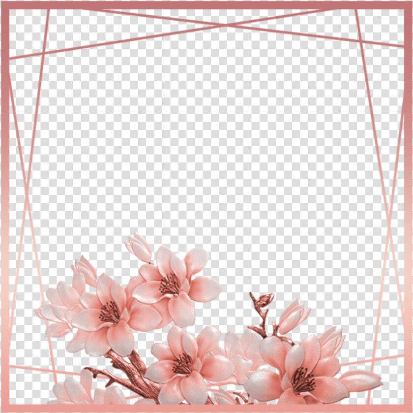  ftestickers  flowers  frame  borders  rosegold  pink   Rose Gold Border Transparent  HD Png DownloadTransparent PNG