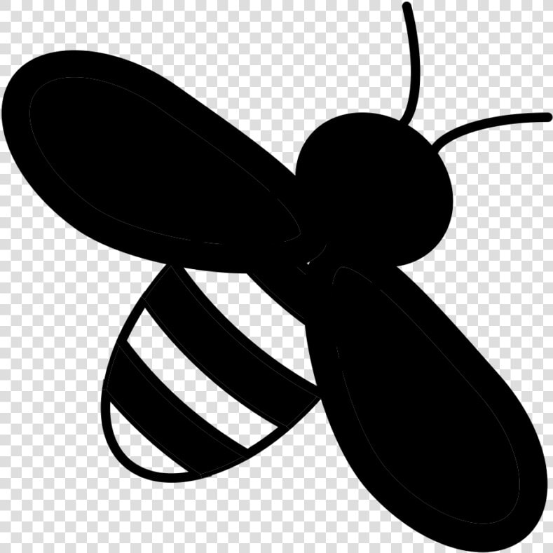 Net winged Insects  HD Png DownloadTransparent PNG