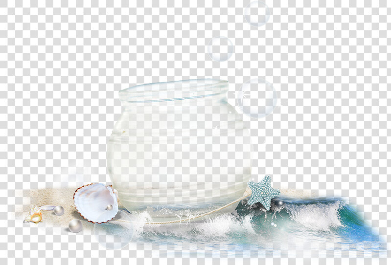 Crystal Pot With Sea Shells Png Image   Still Life Photography  Transparent PngTransparent PNG