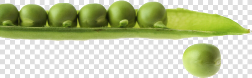 Pea Free Transparent Images   Snap Pea  HD Png DownloadTransparent PNG