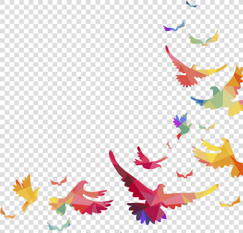 Birds Bird Borders Border Frame Frames   Bird Border  HD Png DownloadTransparent PNG