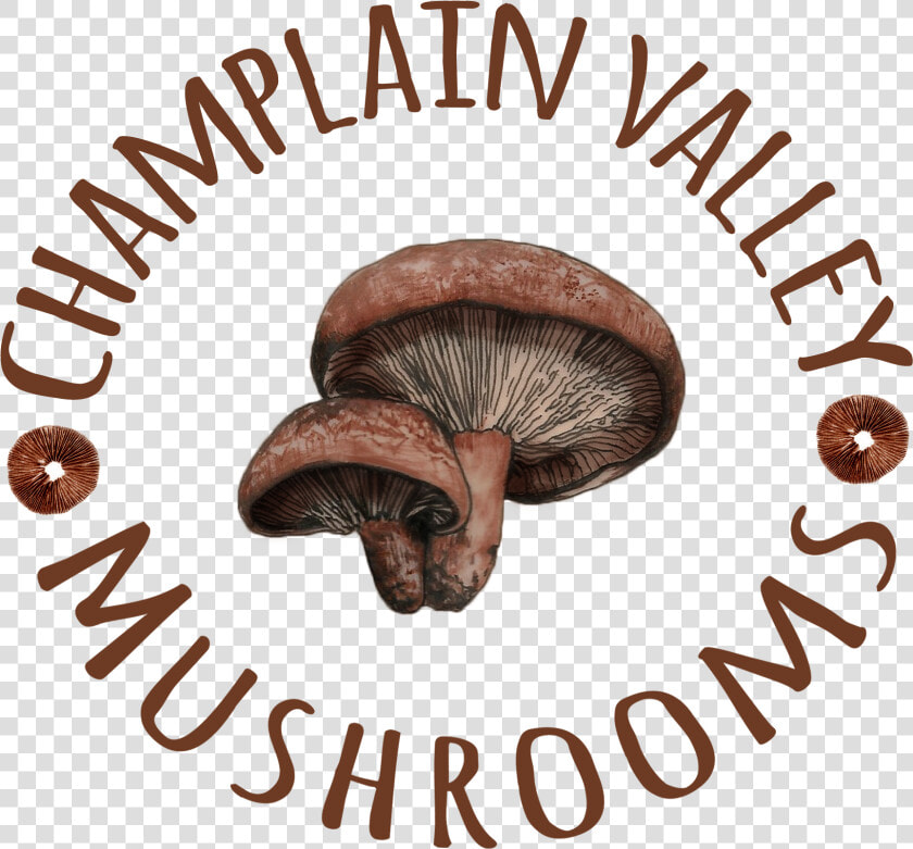 Russula Integra  HD Png DownloadTransparent PNG