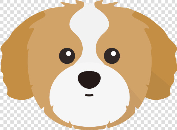 Transparent Shih Tzu Clip Art  HD Png DownloadTransparent PNG