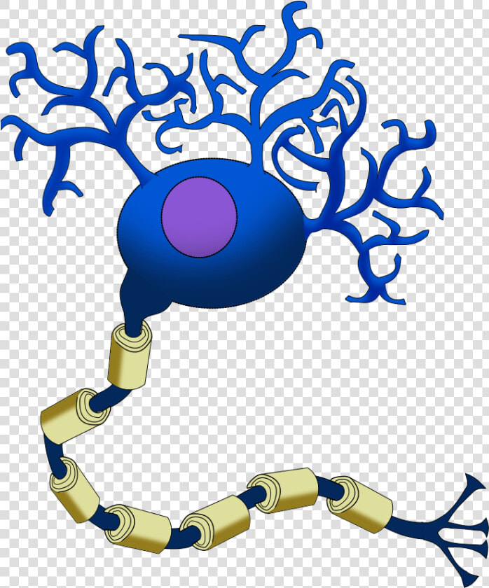 Neuron Cartoon   Neurotransmitter Filled Vesicles Neurons  HD Png DownloadTransparent PNG