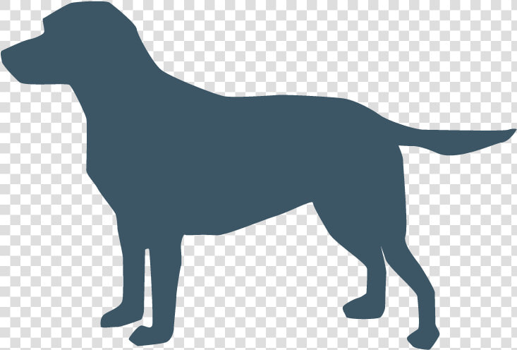 American Pit Bull Terrier Chow Chow Dog Collar Computer   Dog Icon Png Blue  Transparent PngTransparent PNG