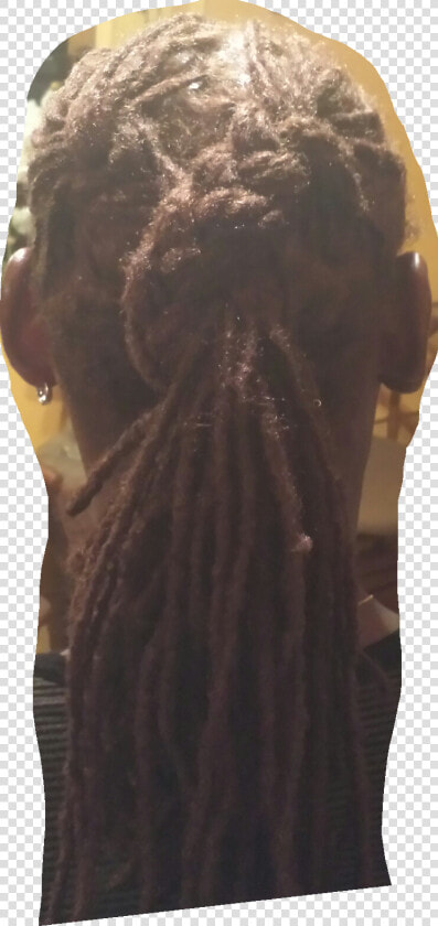 Dreadlock Png  Transparent PngTransparent PNG