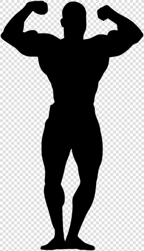 Female Bodybuilding Art Clip Art   Bodybuilding Silhouette Clip Art  HD Png DownloadTransparent PNG