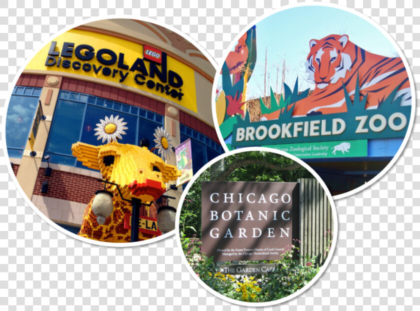 Brookfield Zoo  HD Png DownloadTransparent PNG